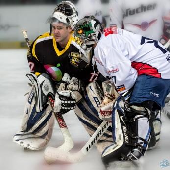 Bild: Eishockey (2014-eishockey-001.jpg)