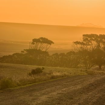 Bild: Irgendwo Südafrika (natur031.jpg)
