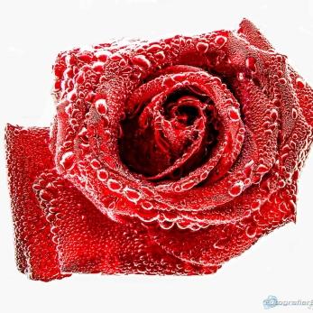 Bild: Tabletop (tabletop-009.jpg)