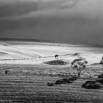 Bild: irgendwo Infrarot Südafrika (infrarot-008.jpg)