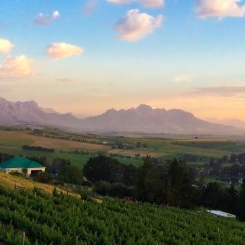 Bild: Stellenbosch Südafrika (Handy-026.jpg)