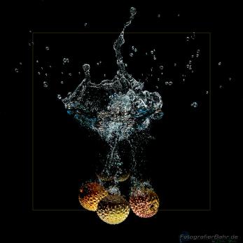 Bild: Litschi Tabletop (tabletop07.jpg)