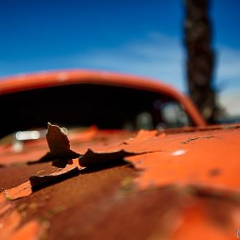 Bild: Automuseum Kapstadt Südafrika (fahrzeuge-cap-002.jpg)