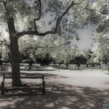 Bild: Südafrika Handyfoto (Handy-017.jpg)