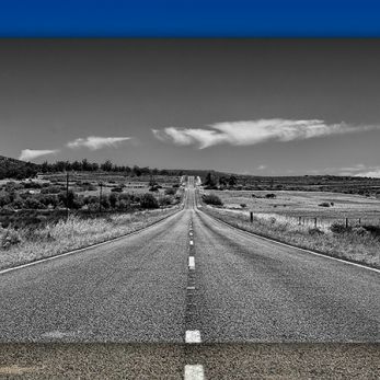 Bild: irgendwo Südafrika (natur006.jpg)