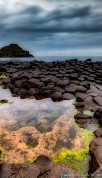 <p>Irland - The Giant Causway</p>