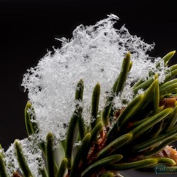 Bild: Schnee Makro (B4A1834_schnee.jpg)