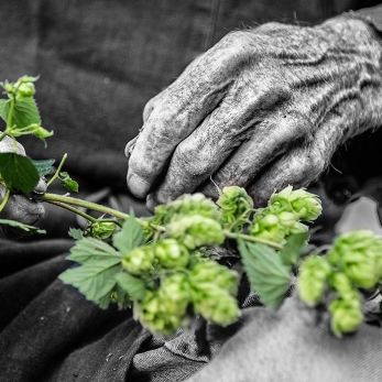 Bild: Street (potrait003.jpg)