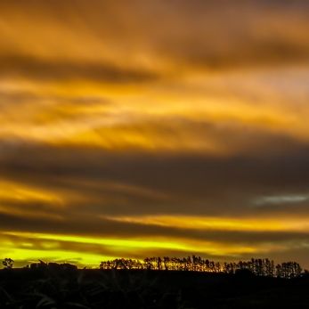 Bild: Stellenbosch Südafrika (sunset15.jpg)