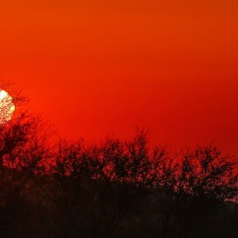 Bild: Aus Namibia (sunset21.jpg)