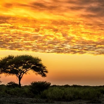 Bild: Etoscha Namibia (sunset26.jpg)