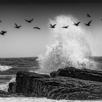 Bild: Kap der guten Hoffnung Südafrika (fineart-sw013.jpg)