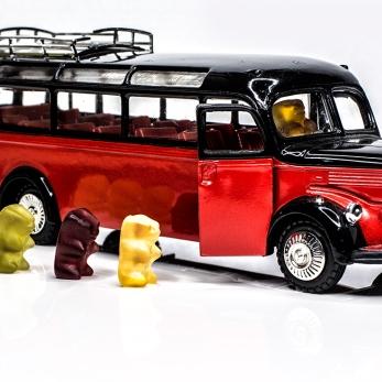 Bild: Busreise Tabletop (tabletop22.jpg)