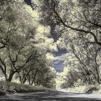 Bild: Stellenbosch Infrarot Südafrika (infrarot-014.jpg)