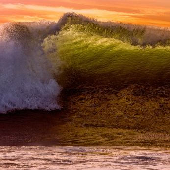 Bild: Gansbaai Südafrika (natur023.jpg)