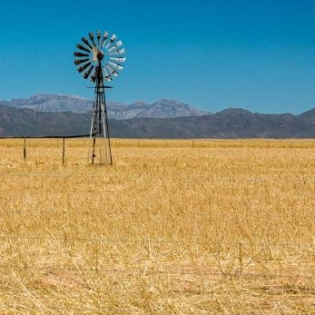 Bild: irgendwo Südafrika (natur017.jpg)