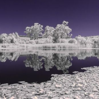 Bild: Le Verger Infrarot Südafrika (infrarot-013.jpg)