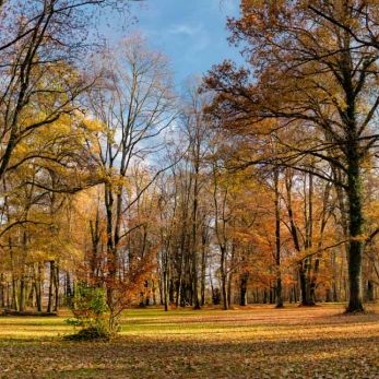 Bild: Schwabach (landschaft-001.jpg)