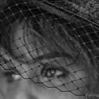 Bild: Claudia (portrait-claudia-003.jpg)