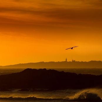 Bild: Bloubergstrand Südafrika (x-natur005.jpg)