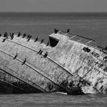 Bild: Cape Agulhas Südafrika (fineart-sw001.jpg)