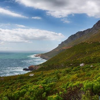 Bild: irgendwo Südafrika (natur016.jpg)