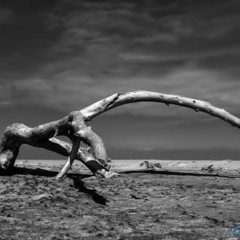 Bild: St. Lucia Südafrika Handyfoto (Handy-013-2.jpg)