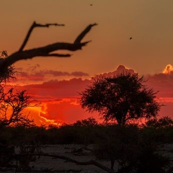 Bild: Etoscha Namibia (sunset27.jpg)