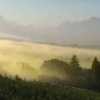 Bild: Stellenbosch Südafrika (Handy-025.jpg)