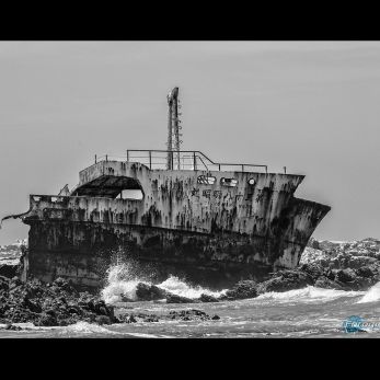 Bild: Cape Agulhas 2012 (Cape Agulhas 2012)