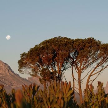 Bild: Südafrika (landschaft-002.jpg)