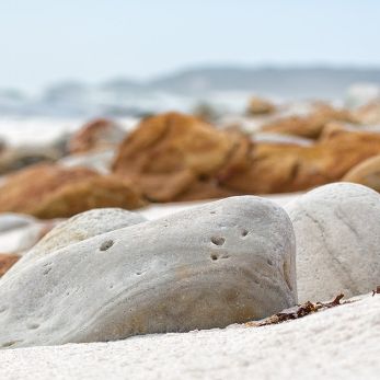 Bild: Kap der guten Hoffnung Südafrika (natur003.jpg)