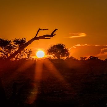Bild: Etoscha Namibia (sunset24.jpg)