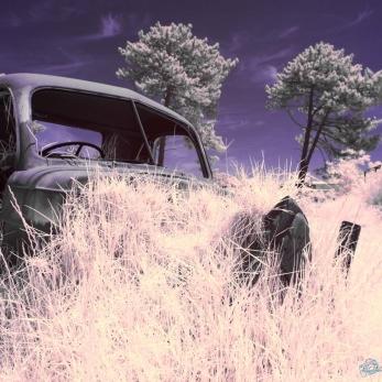 Bild: Automuseum Kapstadt Südafrika (fahrzeuge-003-2.jpg)