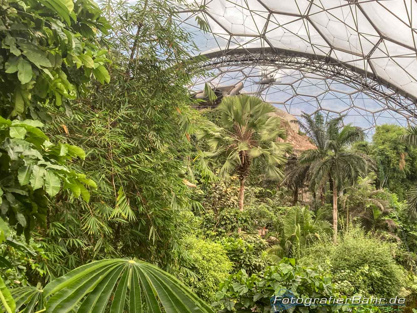 Eden Project