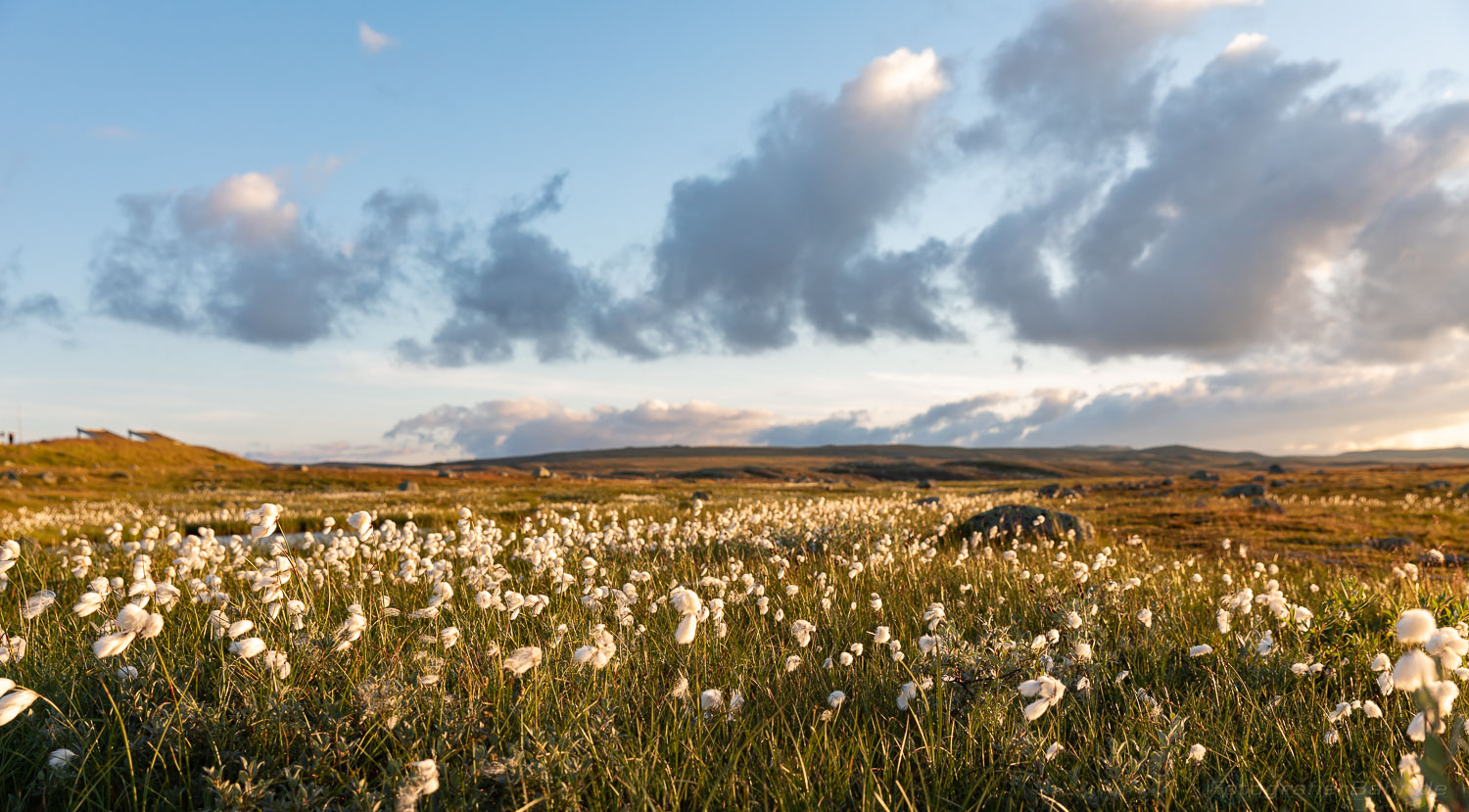 Hochplateau in Norwegen