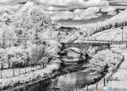IMG_9909-ir.jpg