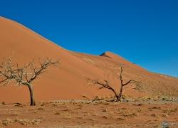 314-Namibia-sossusvlei.jpg