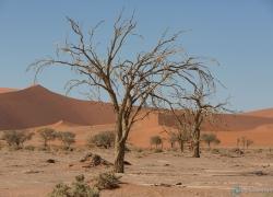 315-Namibia-sossusvlei.jpg