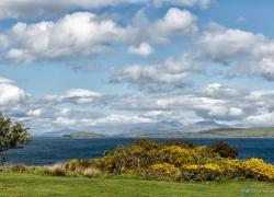 B4A3119-isle-of-mull.jpg