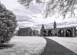 MG_9953-Fortrose-Cathedral-ir.jpg