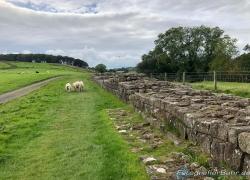 2018-09-Hadrianswall-IMG_8328.jpg