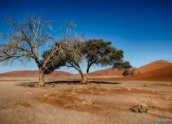 304-Namibia-sossusvlei.jpg