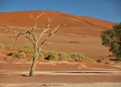 311-Namibia-sossusvlei.jpg