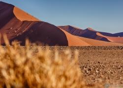 307-Namibia-sossusvlei.jpg