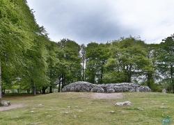 B4A3846-clava-caims.jpg