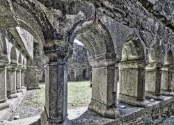 irl_abbey_68A4457.jpg