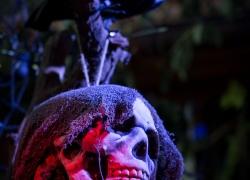 2013-Helloween-001.jpg
