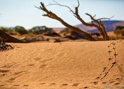 312-Namibia-sossusvlei.jpg