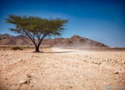 252-Namibia-weg-sossus.jpg
